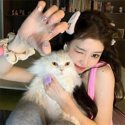 浴血黑帮第二季